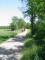 De Saint-Rambert-d'Albon à la Tour d'Albon