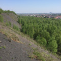 Sur la crête