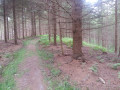 Sur la ligne de crête du Bois du Marquisat