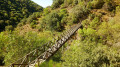 Cascade de Faia d'Água Alta