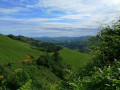 Sur la route de Sapataenia Sur la route de Sapataenia
