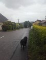 Sur la route... Sur la route...