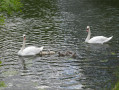 Sur la seine, en famille
