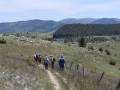 Boucle sur le Causse Méjean depuis Galli
