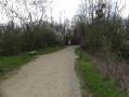 Sur le chemin autour de l'étang
