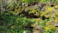 Sur le Chemin de Bat dé Haü