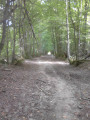 Sur le chemin de Compostelle Sur le chemin de Compostelle