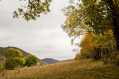 La vallée de l'Impradine La vallée de l'Impradine