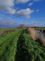 Sur le chemin de la levée du marais