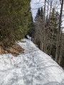 Sur le chemin de Teise-Joux