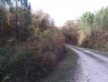Sur le chemin des cistudes