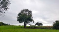 Sur le chemin du retour