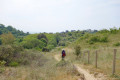 Sur le chemin du retour ... Sur le chemin du retour ...