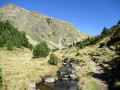 Sur le chemin du retour