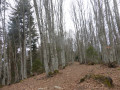 Sur le chemin en direction du Mont Grêle Sur le chemin en direction du Mont Grêle