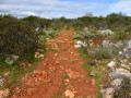 Sur le chemin vers le Miradouro Norte