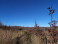 sur le chemin
