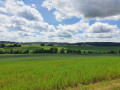Sur le chemin