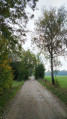 Sur le chemin