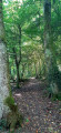 Sur le circuit de l'Etang de la Marnière