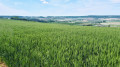 À la découverte de Vic-sur-Seille depuis Château-Salins