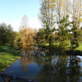 Sur le pont de Saint Bonnet