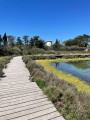 Autour de la saline de Peyriac-de-Mer