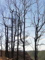 Sur le sentier de Haute rives à Anillhac