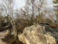 Sur le sentier des Ducs Sur le sentier des Ducs