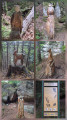 Sur le sentier des merveilles
