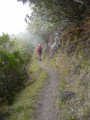 sur le sentier Scout
