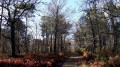 Sur le sentier
