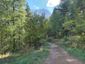 Sur le sentier