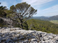 Sur les barres de Castillon