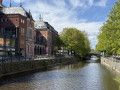 Sur les berges de Fyris&aring;n