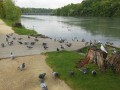 Sur les berges de l'Isère