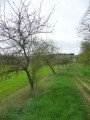 Circuit du maquis Bourgogne autour des Bordes