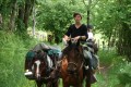 Initiation au cheval de bât entre Chantaigut et Les Vacants