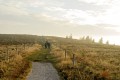 Sur les crêtes Sur les crêtes