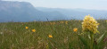 Sur les crêtes de Vassieux-en-Vercors