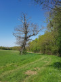 Sur les hauteurs de Dixmont