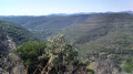 Entre chênaie et eau fraîche à Mialet