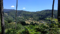 Sur les hauteurs de Saint Amarin