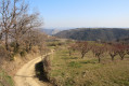 Sur les hauteurs de Tournon