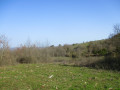 Sur les hauteurs