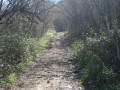 Sur les traces de l'ancien tramway Ascain-Sare