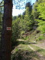 Elsassblick Rocher de Mutzig et retour depuis Walscheid
