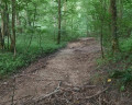 Le Bois de Créquy