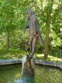 Surprenante fontaine