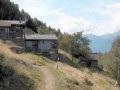 Svall